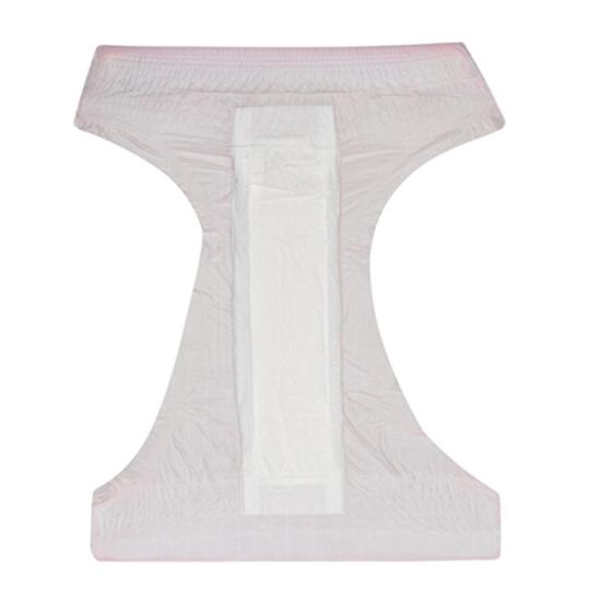 Anti-Leak Menstrua Sanitary Braccae